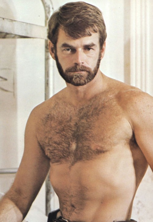 Steve Taylor Gallery